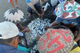 Sebagian nelayan di Medan batasi melaut dampak kenaikan harga BBM