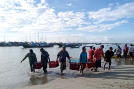 Cuaca buruk pengaruhi tangkapan ikan nelayan Abdya