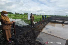 HST dicanangkan sebagai Kampung Haruan di Indonesia