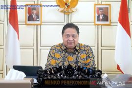 Menko Perekonomian dorong transformasi digital dalam industri kesehatan