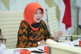 KKP pastikan rencana PLN sediakan listrik untuk Singapura sesuai aturan