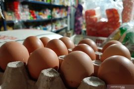 Ini penyebab kenaikan harga telur ayam ras
