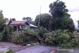 Angin kencang diprakirakan landah wilayah NTT