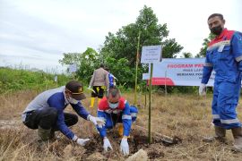 PHSS tanam ratusan bibit pohon di sekitar daerah operasi