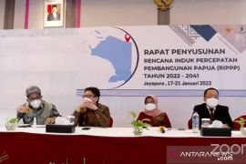Government allocates US$5.9 billion for Papua for 2022