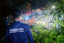 Angin ribut landa dua kecamatan di Temanggung