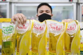 Indef: Minyak goreng satu harga perlu diikuti  produktivitas industri