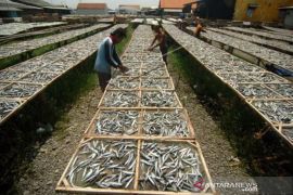 Harga Ikan Asin Naik Page 1 Small