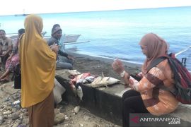 MSC bantu hibah penelitian rajungan dan ikan kakap melalui OSF