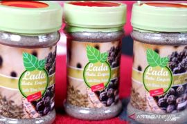 Kemenag turunkan biaya sertifikasi halal, UMKM Kalbar terbantu