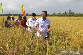 Wabup Sambas ingatkan pembangunan pertanian sektor hilir perlu perhatian