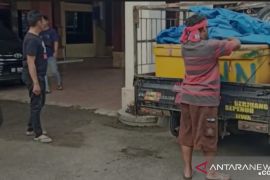 Polisi sita 300 kg daging babi ilegal