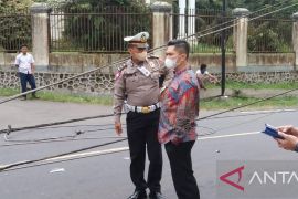 Pohon berusia 70 tahun tumbang patahkan dua tiang listrik di Tapsel