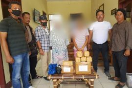 Polsek Pangkalan Susu amankan dua IRT kurir enam kilogram ganja tujuan Batam dan Malang