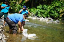 Pemkab Padang Pariaman salurkan 420.500 ekor bantuan bibit ikan sepanjang 2021