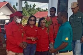 KPHP Boven Digoel apresiasi PDIP melakukan penghijauan