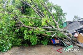 Hujan disertai angin kencang di Kabupaten Bogor Senin sore akibatkan delapan kejadian bencana