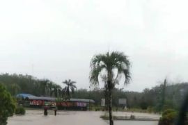 Produksi benih ikan di Tabalong masih rendah