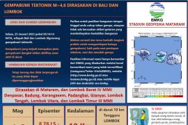 Gempa 4,6 magnitudo guncang Lombok NTB