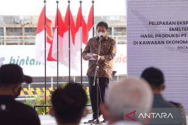 Airlangga: Smelter Grade Alumina percepat hilirisasi bauksit