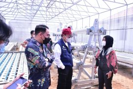 Bupati Waykanan lakukan audensi dengan BPSDM Pertanian Kementan