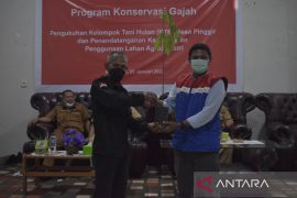 Menyelamatkan gajah di Riau dengan menanam pohon