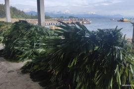 Ini rumpon nelayan Abdya