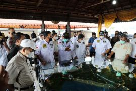 Pemerintah siapkan pembangunan infrastruktur dasar di IKN