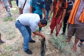 Seorang pria paruh baya dilaporkan tewas terinjak gajah di Tahura Minas