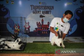 Peresmian kampung peternak kelinci milenial