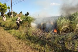BPBD Kubu Raya deteksi lokasi karhutla