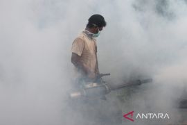 Demam berdarah yang terlupakan