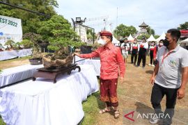 Bupati Klungkung apresiasi "Nusa Penida Bonsai Festival 2022"