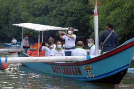Aksi bersih mangrove di Bali