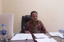 DLH Bangka Tengah tata ulang empat RTH