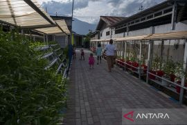 Kampung Hidroponik di Lolu Utara