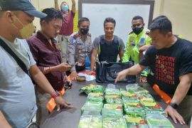 Pelaku gunakan kemasan teh simpan sabu-sabu 15 kg