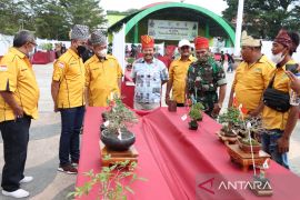 Pameran 548 bonsai sukses digelar di Inhu