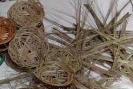 Dari sawit bisa tercipta gula merah dan lidi