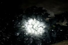 Mata Indonesia:&nbsp;Sabda alam Malaumkarta - Bagian 1