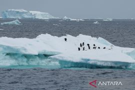 Ilmuwan IPCC mulai bertemu bahas laporan dampak perubahan iklim