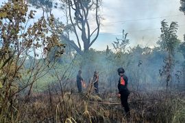 Kawasan hutan lindung Saree di lalap si jago merah