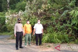 Longsor timbun jalan provinsi di Tapanuli Selatan Sumut
