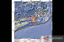 BNPB: Guncangan gempa Magnitudo 6,1 tak membuat warga Maluku Barat Daya panik