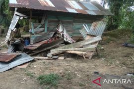 Gajah liar rusak pondok warga, ini langkah BBKSDA Riau