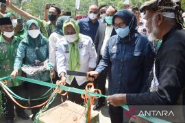 Berkat program "Satu Miliar Satu Desa" pertanian di Leuwisadeng Bogor menggeliat