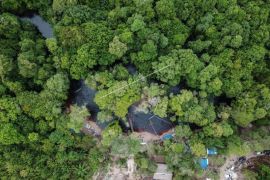 Inilah strategi jaga 1,4 juta hektare lahan gambut Sumsel