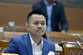 Legislator Mufti Anam nilai Mardani Maming layak jadi Kepala IKN
