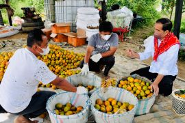 Presiden Jokowi tegaskan infrastruktur jalan tunjang kegiatan produksi
