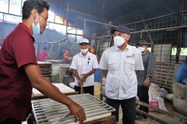 Menkop dorong pengembangan koperasi pangan dengan sistem pertanian terpadu